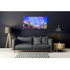 tulup.si Slika na steklu Barrier reef narava 120x60 cm 2 obešalnika