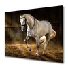 tulup.si Steklena podloga za rezanje Beli konj v hlevu 2x30x52 cm