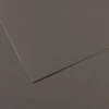 Canson Mi-Teintes papir za pastel 50 x 65 cm 160 g 25 listov - Temno siva 345