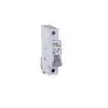 Circuit breaker 6 kA, characteristic B, 16 A, 1-pole.