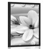 Plakat luksuzna magnolija z biseri v črnobeli varianti - 60x90 black