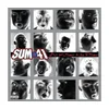 Sum 41 - All Killer, No Filler (25th Anniversary/Limited Edition) (Coloured) (2 LP)