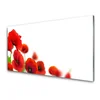 tulup.si Steklena slika Red poppies narava 100x50 cm 2 obešalnika