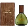 Antonio Puig Agua Brava kolonjska voda 100 ml za moške