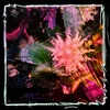 Camila Fuchs - Kids Talk Sun (Limited Edition) (LP)