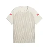 PUMA individualLIGA Graphic Football Jersey Men, Sport, Sedate Gray/Ultra Red/Sugared Almond, M