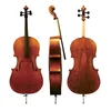 Violončelo 3/4 Maestro 6 GS402.372.100