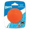 Chuckit Fetch Ball