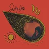 Katie von Schleicher - Shitty Hits (Limited Edition) (Orange Translucent Coloured) (LP)