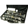 FLIGHT klarinet Bb FCL-200S