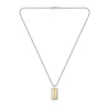Hugo Boss Moška dvobarvna ogrlica Dog tags Devon 1580576