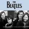 The Beatles - Anthology Collection (Box Set) (12 LP)