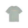 TOM TAILOR DENIM Majica pastelno zelena/marelica/bela