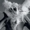 The Afghan Whigs - Do To The Beast (Limited Edition) (180 g) (2 LP)