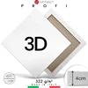 3D Slikarsko platno na okvirju PROFI - 40x80 cm