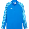 Puma Majica z dolgimi rokavi teamLIGA26 Training 1/4 Zip Top