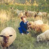Resavoir - Themes For Dreams (LP)