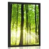 Plakat sveži zeleni gozd - 60x90 silver