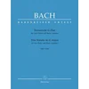 BACH J.S.:TRIO SONATA IN G MAJOR BWV 1039 FOR TWO FLUTES AND BASSO CON.