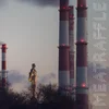Meatraffle - Base And Superstructure (Limited Edition) (Red Coloured) (LP)