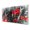 tulup.si Slika na akrilnem steklu Mak na zidu 140x70 cm 2 obešalnika