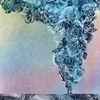 Daughn Gibson - Carnation (Transparent Coloured) (LP)