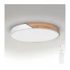 Brilagi - LED prigušiva svetiljka PILANA LED/60W/230V hrast/bela prečnik 60 cm + daljinski upravljač