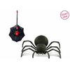 Spider RC sveti v temi 20 cm - češko pakiranje