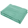 Homestar Zamenjava kritine za rastlinjak 300x200x200 cm zelena