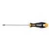 Šrafciger Felo Ergonic Robertson SQ0 x 100 40400040