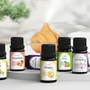 Estone dišeče olje 10 ml - Ginger