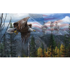 Sunsout - Puzzle Kevin Daniel - May Freedom Fly Forever - 550 kosov