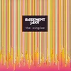 Basement Jaxx - Singles (Best Of) (2 CD)