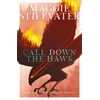 Call Down the Hawk: The Dreamer Trilogy #1