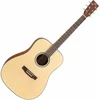 Akustična kitara SD304K Natural Matt SX