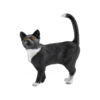 Katze stehend
