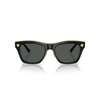 Versace Naočare za sunce VE 2272 GB1/87