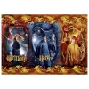 Clementoni - Puzzle Harry Potter, Hermiona and Ron 104 - 100 kosov