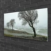 tulup.si Slika na steklu Sea storm waves 120x60 cm 4 obešalnika