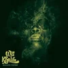 Wiz Khalifa - Rolling Papers (Emerald Green Coloured) (2 LP) (Samo odprto)