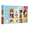 Trefl 17374 puzzle Sestavljanka 60 kos Živali