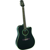TAKAMINE EG321C BK elektro-akustična kitara