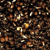 Nash Oily Hemp 2,5l