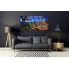tulup.si Slika na akrilnem steklu Mount forest narava 140x70 cm 4 obešalnika