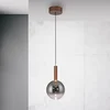 Paul Neuhaus LED viseča svetilka Bowl, O 20 cm, rjava/siva - Dnevna soba/jedilnica - Sodobni - rjava, dimno siva - Steklo