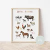 Its a moms world Edukativni poster za decu sa ramom Domaće životinje A5, 3D