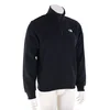 The North Face Evolution Simple Dome Regular 1/4 Zip Moški Športni pulover