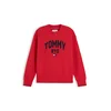 TOMMY HILFIGER Pulover mornarska/rdeča