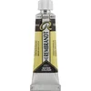 Rembrandt Professional Watercolour Paint 10 ml Vandyke Brown
