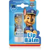 Nickelodeon Paw Patrol Lips balzam za ustnice za otroke Blueberry 4,4 g